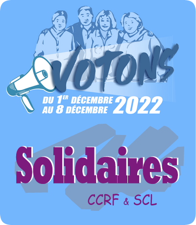 Elections du 1er au 8 décembre 2022: DGCCRF