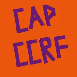 CAP A – Déclaration liminaire de SOLIDAIRES CCRF & SCL