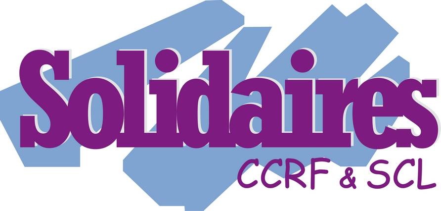 TR: Réunion du 5 février 2026 sur la réorganisation du réseau territorial de la DGCCRF : Avenir de la DGCCRF, un cap, mais pas de visibilité !